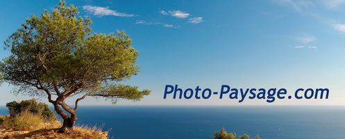 Photo-Paysage.com : paysages de nature, photos de voyages, fonds d'écran HD gratuits*, images sous licence cc by-nc-nd