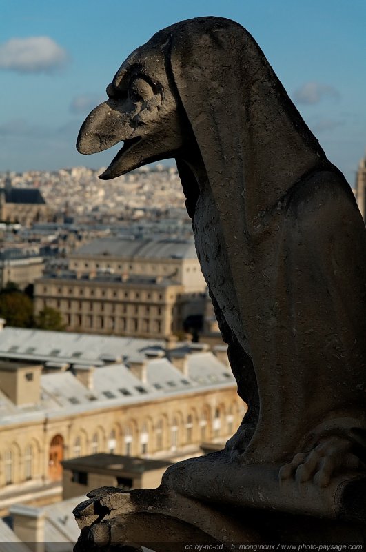 Chimère
Cathédrale Notre Dame
Paris, France
Mots-clés: paris monument eglise cathedrale notre_dame_de_paris ile_de_la_cite chimere cadrage_vertical