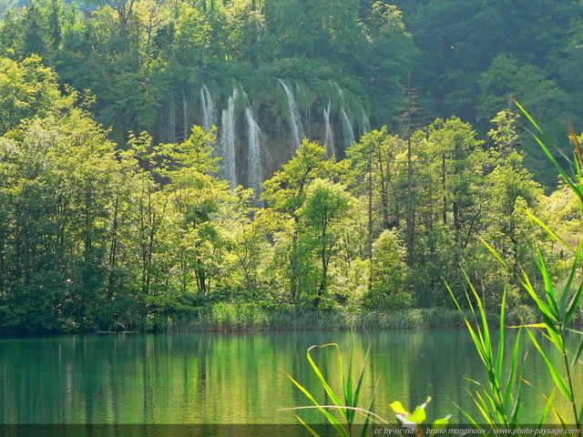 Paysage paradisiaque et chutes d'eau de Prstavac dans les lacs de Plitvice
A lire sur le blog : [url=http://www.photo-paysage.com/blog/?p=16] Les lacs de Plitvice[/url]

Parc National de Plitvice, Croatie
Mots-clés: les_plus_belles_images_de_nature cascade reflets alignement_d_arbre croatie plitvice miroir rayon_de_soleil nature croatie UNESCO_patrimoine_mondial