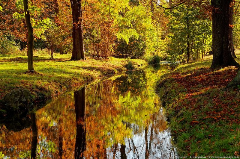 Reflet d'Automne
Bois de Vincennes, 
Paris, France
Mots-clés: automne ile-de-france feuilles_mortes riviere ruisseau canal reflets miroir