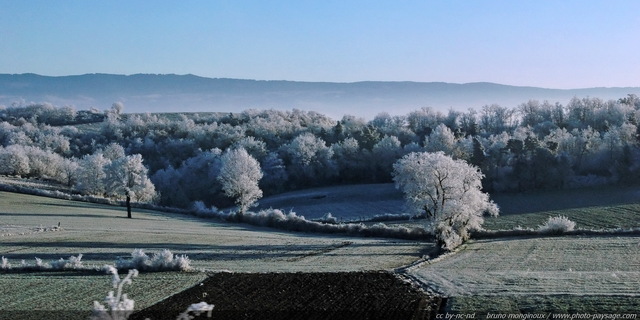 Des champs et des arbres entièrement recouverts par le givre
Paysage du massif central par -11°C
[Images d'hiver]
Mots-clés: hiver neige givre froid glace champs campagne nature lozere massif-central languedoc-roussillon