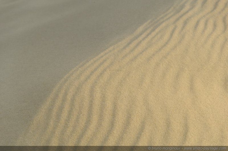 Texture sur sable -10
Dune du Pyla
[La côte Aquitaine]
Mots-clés: littoral atlantique mer ocean gascogne aquitaine dune_du_pyla sable texture landes les_plus_belles_images_de_nature