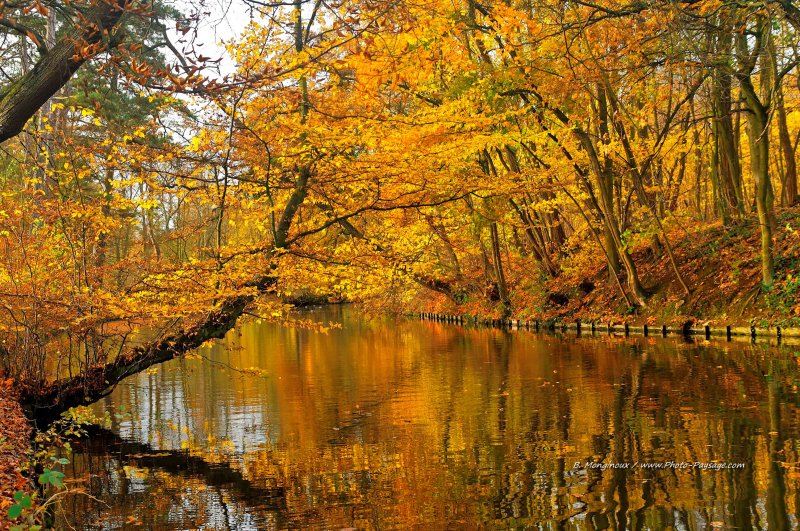 Le lac des Minimes en automne -33
Bois de Vincennes, Paris
Mots-clés: paris automne reflets Vincennes