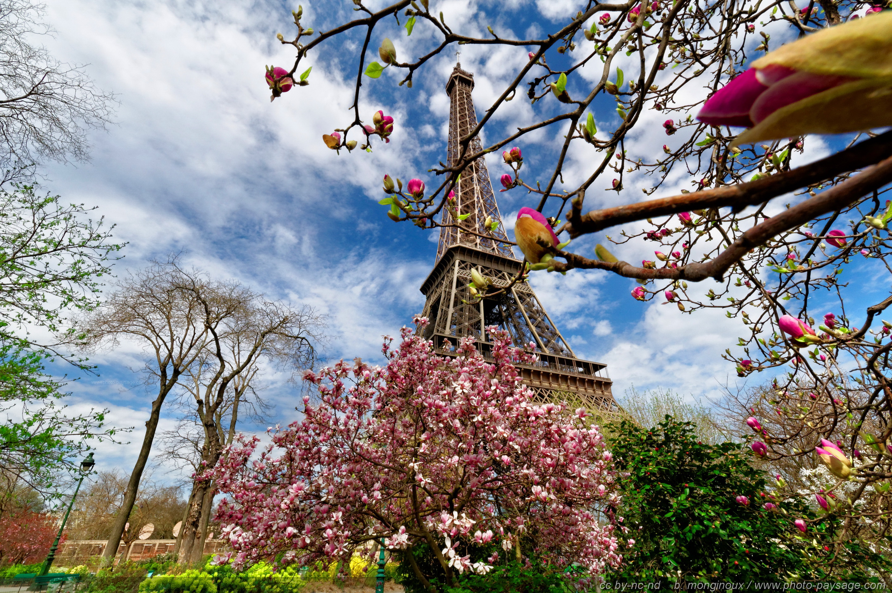 Le Japon à Paris