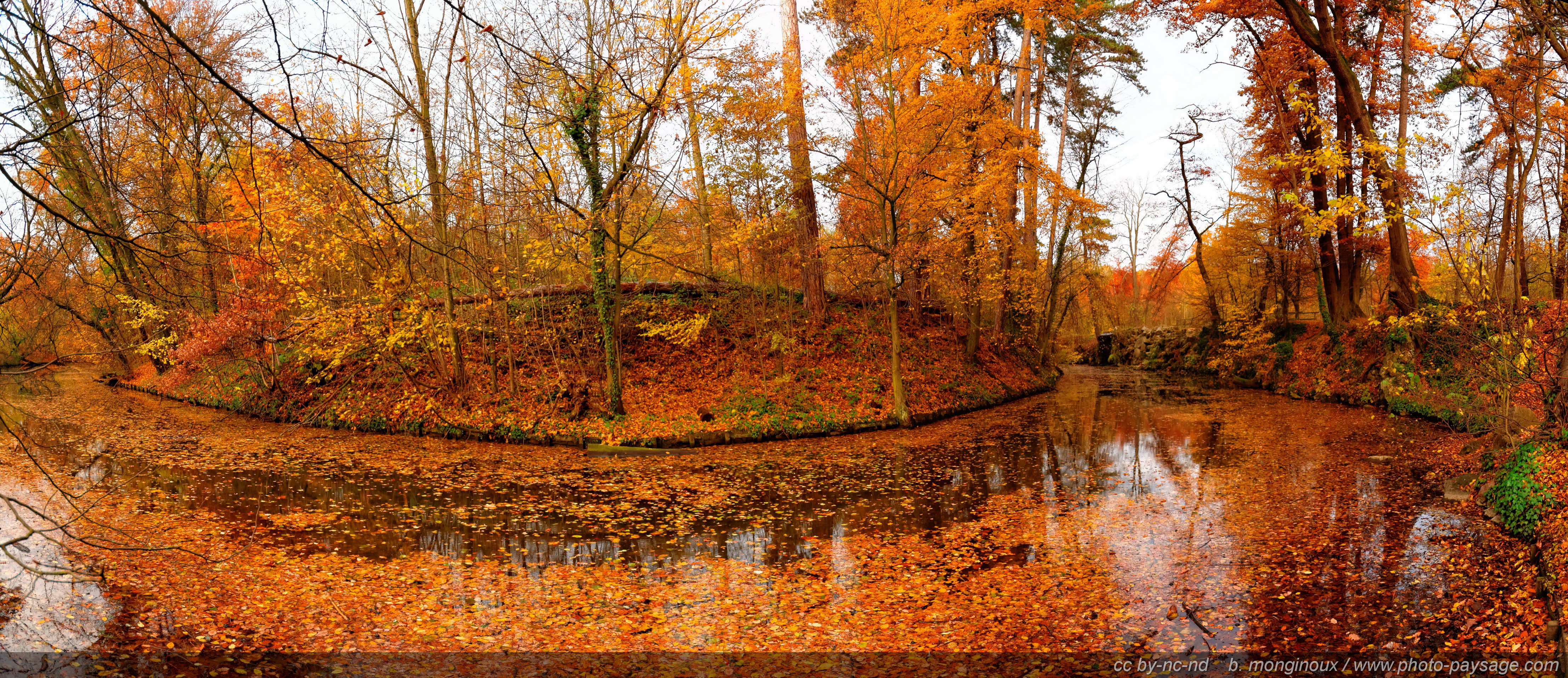 images paysage automne 