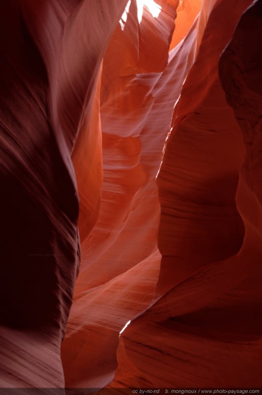 Antelope Canyon : des parois rocheuses magnifiquement sculptées par l'érosion
Upper Antelope Canyon, réserve de la Nation Navajo, Arizona, USA
Mots-clés: antelope canyon arizona navajo usa cadrage_vertical