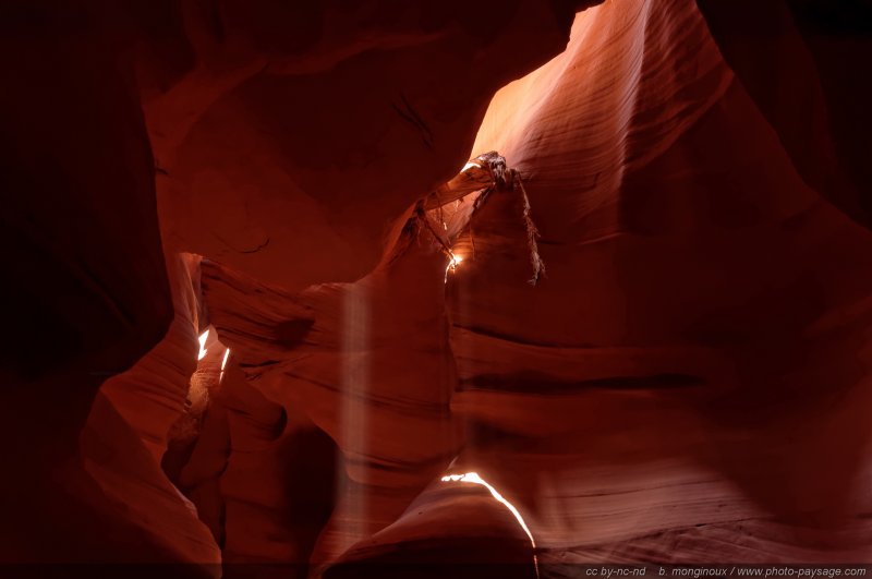 Un fin rayon de lumière passe entre les parois d'Antelope Canyon
Upper Antelope Canyon, réserve de la Nation Navajo, Arizona, USA
Mots-clés: antelope canyon arizona navajo usa