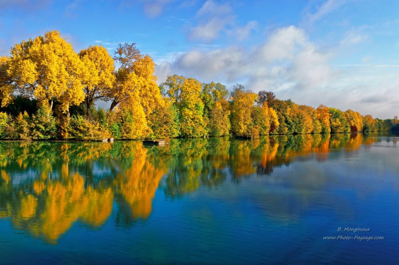 Arbres en automne alignés au bord de l'eau
Automne en bord de Marne...
Mots-clés: automne reflets alignement_d_arbre