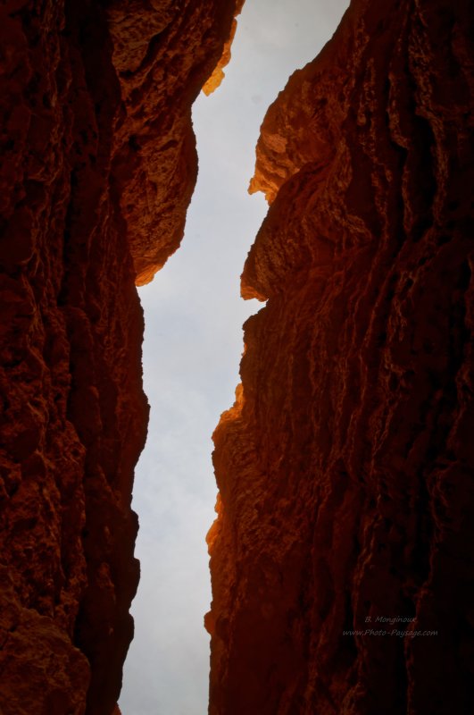Au fond de Bryce Canyon
Bryce Canyon National Park, Utah, USA
Mots-clés: utah usa hoodoo canyon cadrage_vertical