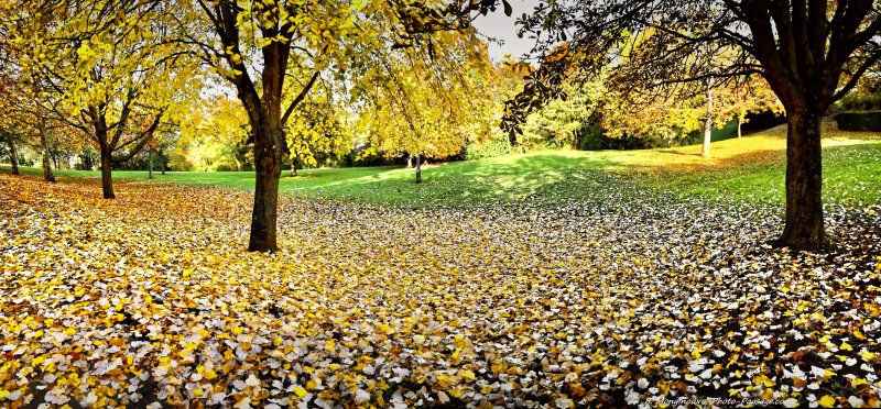 Automne confiné
Couleurs d'automne dans un jardin public désert
Mots-clés: automne photo_panoramique