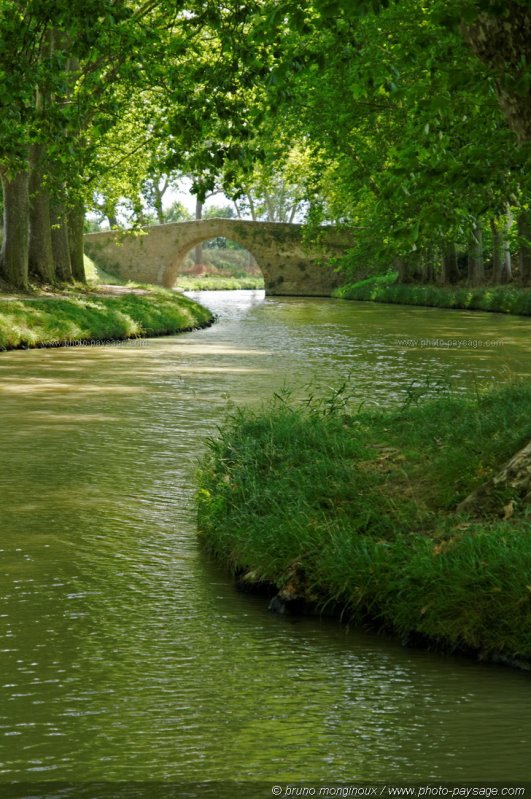 Balade le long du Canal du Midi -03
[Le Canal du Midi]
Mots-clés: canal_du_midi pont_de_pierre platane cadrage_vertical