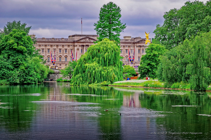 Buckingham Palace vu depuis St Jame's Park Lake
Londres, Royaume-Uni
Mots-clés: londres parc_londres categorielac