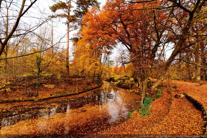 C'est l'Automne
Bois de Vincennes, Paris, France
Mots-clés: automne paris feuilles_mortes