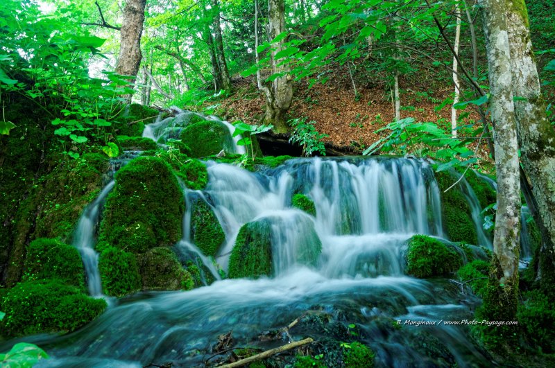La rivière s'écoule à travers la forêt
Parc National de Plitvice, Croatie
Mots-clés: cascade croatie plitvice UNESCO_patrimoine_mondial nature croatie