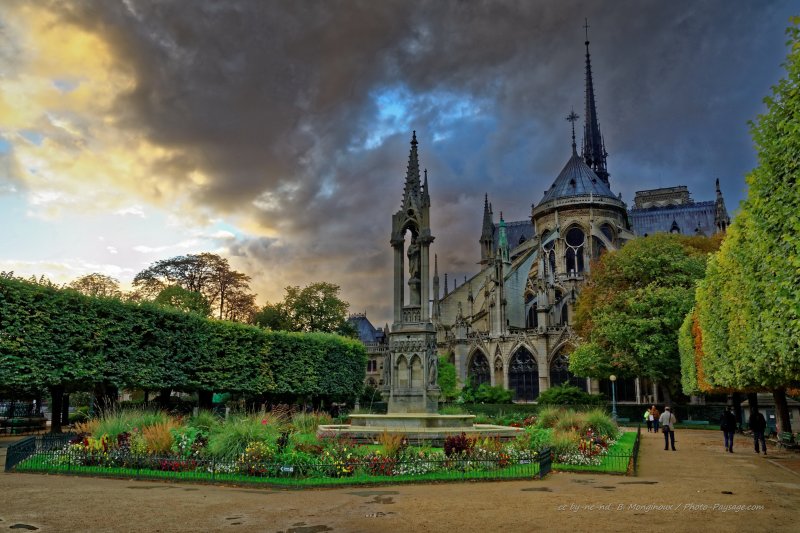La cathédrale Notre Dame de Paris,  vue depuis le Square Jean XXIII un soir après la pluie
Ile de la Cité
Paris, France
Mots-clés: jardin_public_paris