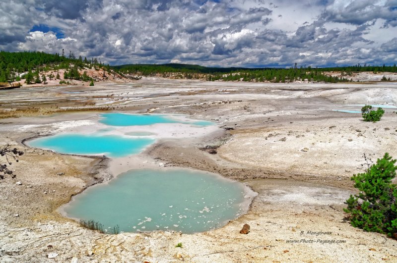 Colloidal Pool,    Norris geyser basin
Parc national de Yellowstone, Wyoming, USA
Mots-clés: source_thermale yellowstone wyoming usa categorielac