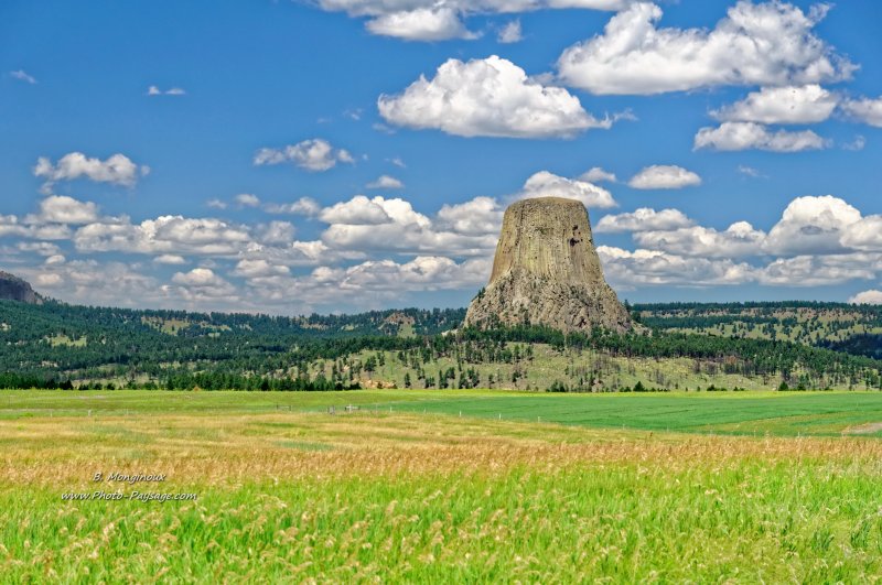 Devils Tower
Devils Tower national monument, Wyoming, USA
Mots-clés: wyoming categ_ete campagne_usa montagne_usa