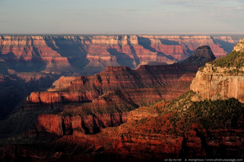 Le Grand Canyon vu depuis Bright Angel Point
En arrière plan, la rive sud (South Rim) du Grand Canyon.

Parc National du Grand Canyon (North Rim), Arizona, USA
Mots-clés: grand-canyon north-rim arizona usa nature montagne categ_ete les_plus_belles_images_de_nature