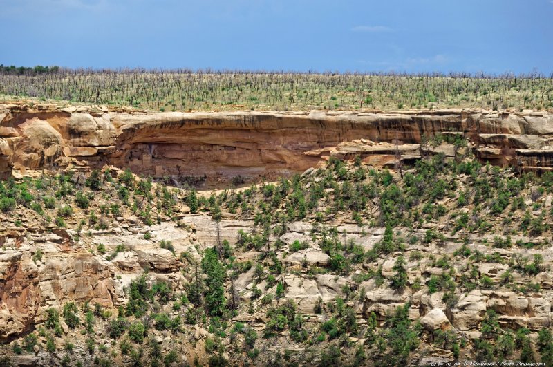 Hemenway house,  habitats troglodytes dans le canyon de Soda
Parc national de Mesa Verde, Colorado, USA
Mots-clés: etat_colorado usa categ_ete montagne_usa falaise