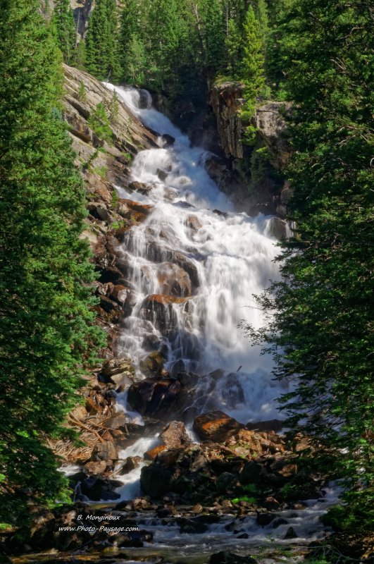Hidden falls 
Parc national de Grand Teton, Wyoming, USA
Mots-clés: montagne_usa wyoming categ_ete foret_usa cascade conifere cadrage_vertical