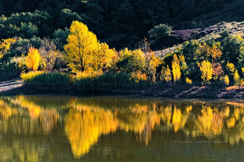 De beaux feuillages jaune or se reflètent dans le lac
Lac du Salagou, Hérault 
Mots-clés: automne salagou ruffe herault languedoc-roussillon reflets