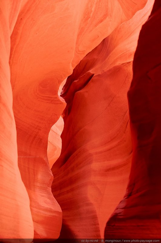 Le canyon de l'Antilope  
Upper Antelope Canyon, réserve de la Nation Navajo, Arizona, USA
Mots-clés: antelope canyon usa arizona desert cadrage_vertical