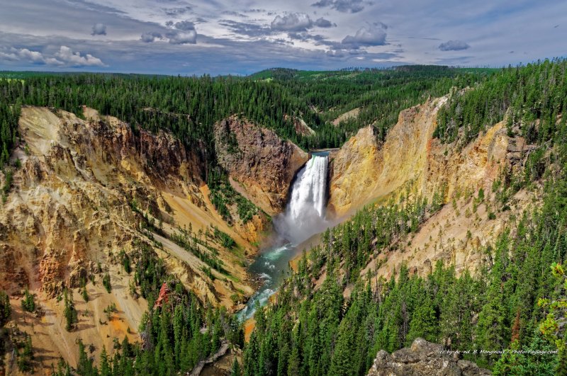 Le grand canyon de Yellowstone et les chutes de Lower Falls
Parc national de Yellowstone, Wyoming, USA
Mots-clés: wyoming yellowstone usa foret_usa riviere cascade conifere categ_ete