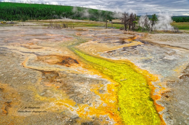 Les couleurs vives des sources thermales de Black Sand basin
Black Sand Basin, parc national de Yellowstone, Wyoming, USA
Mots-clés: yellowstone wyoming usa source_thermale ruisseau