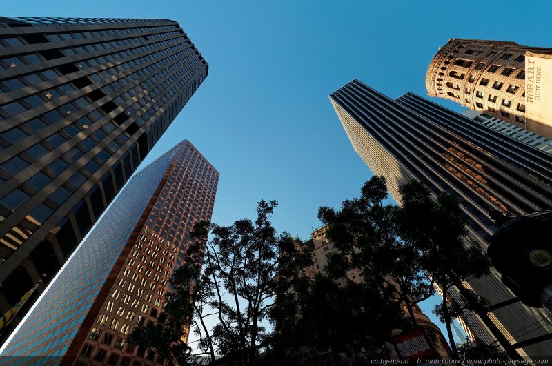 Les gratte-ciels de San Francisco
San Francisco, Californie, USA
Mots-clés: san-francisco californie usa