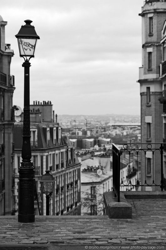 Les rues de Montmartre en noir et blanc 03
Paris, France
Mots-clés: paris rue montmartre noir_et_blanc noir-et-blanc escalier lampadaires rue paves toits cadrage_vertical