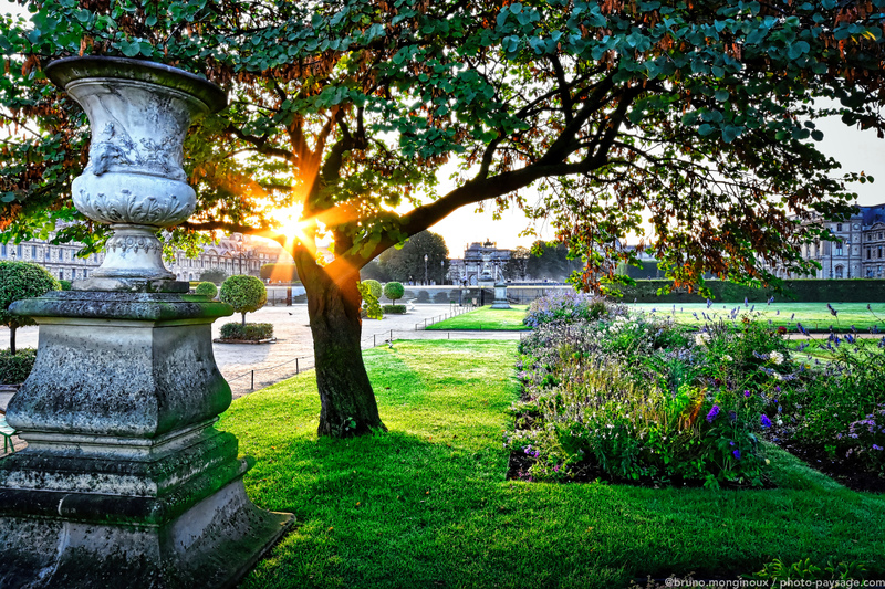 Lever de soleil dans le jardin des Tuileries
Jardin des Tuileries, Paris
Mots-clés: lever_de_soleil jardin_public_paris herbe pelouse paris regle_des_tiers les_plus_belles_images_de_ville arbre_de_judee