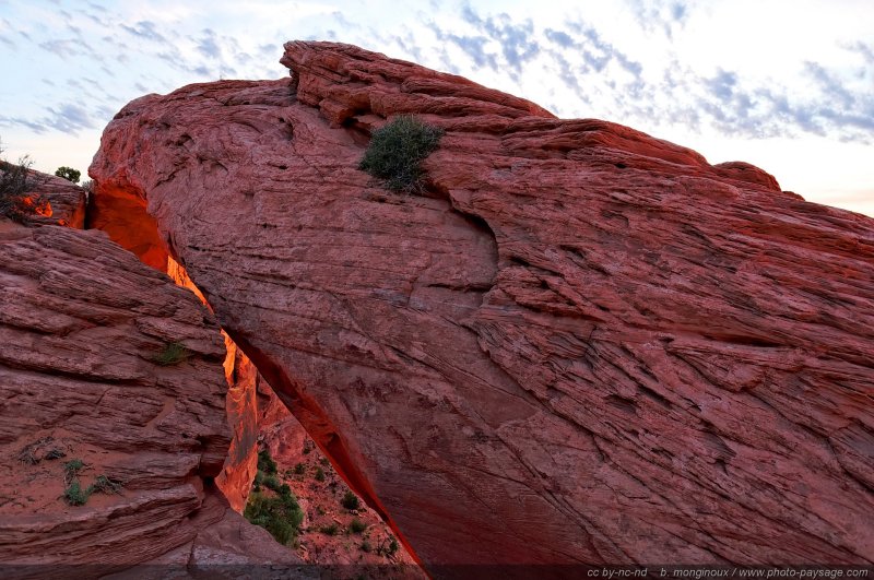 Mesa Arch, une magnifique arche naturelle à flanc de falaise
On distingue sur cette photo la couleur rouge-orangée de la voûte de l'arche, éclairée par le lever du soleil.  

Island in the sky, Canyonlands National Park, Utah, USA
Mots-clés: canyonlands utah usa nature arche_naturelle desert