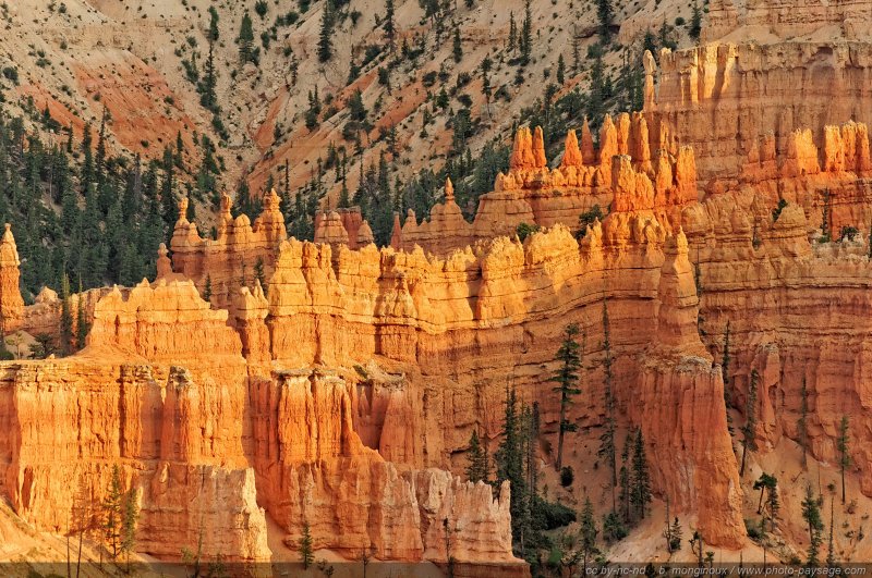 Paysage de Hoodoos
Sunset Point, Bryce Canyon National Park, Utah, USA
Mots-clés: bryce_canyon utah usa nature hoodoo categ_ete les_plus_belles_images_de_nature montagne_usa