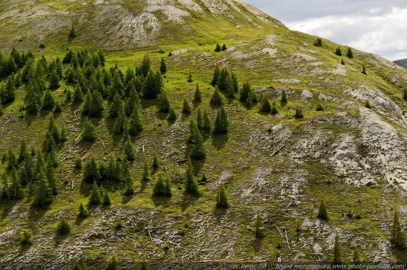 Paysage alpin - Montagnes du Nockberg -01
Autriche
Mots-clés: Alpes_Autriche montagne foret_alpes