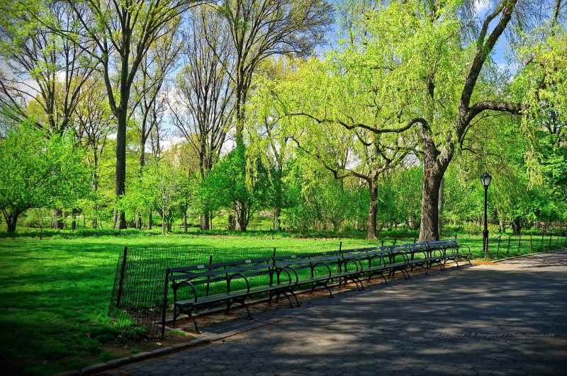 Promenade dans les allées de Central Park -  2
Manhattan, New-York, USA
Mots-clés: Manhattan New-York USA printemps