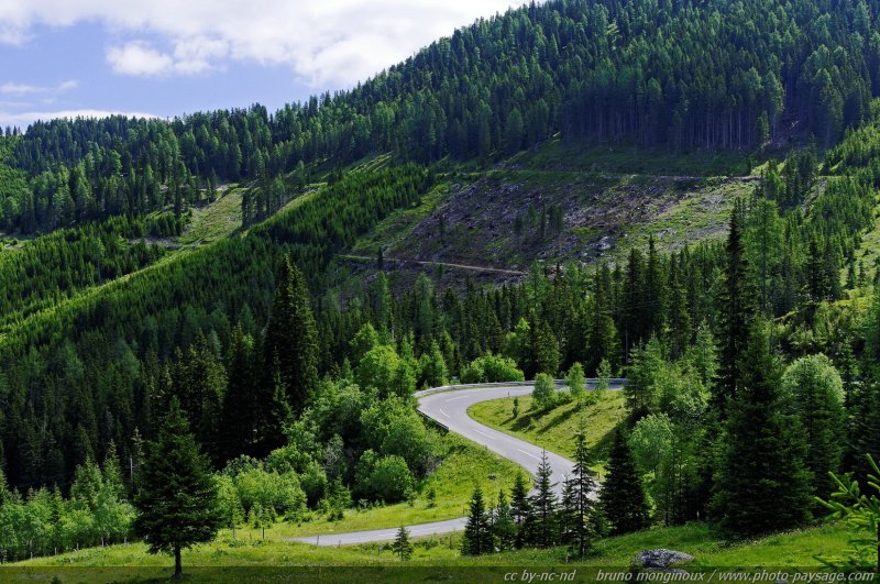 Serpent routier dans les Alpes autrichiennes
Autriche
Mots-clés: Alpes_Autriche montagne route nature categ_ete foret_alpes
