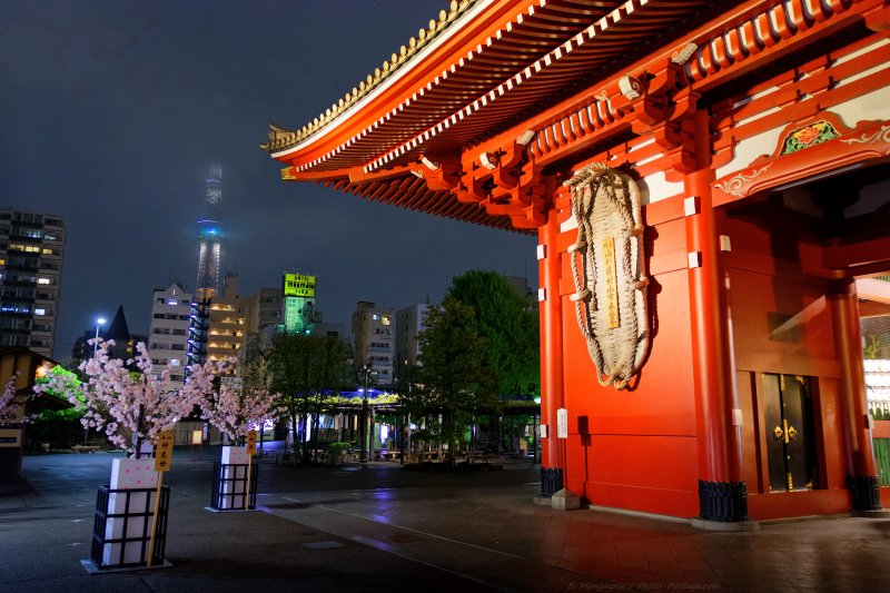 Sensô-ji et Skytree tower en arrière plan dans la brume 
Le Japon entre tradition et modernité
Tokyo (quartier d'Asakusa), Japon
Mots-clés: les_plus_belles_images_de_ville regle_des_tiers