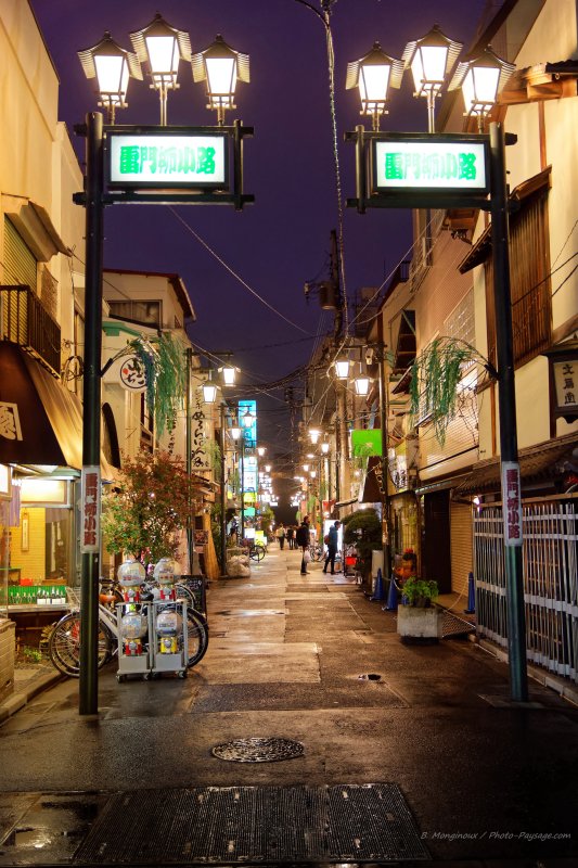 Tokyo la nuit, dans une ruelle du quartier d'Asakusa
Tokyo, Japon
Mots-clés: tokyo japon cadrage_vertical nuit lampadaire