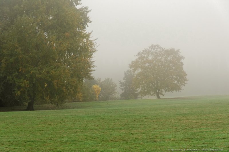 Un arbre dans la brume
[Photos d'automne]
Mots-clés: brume pelouse
