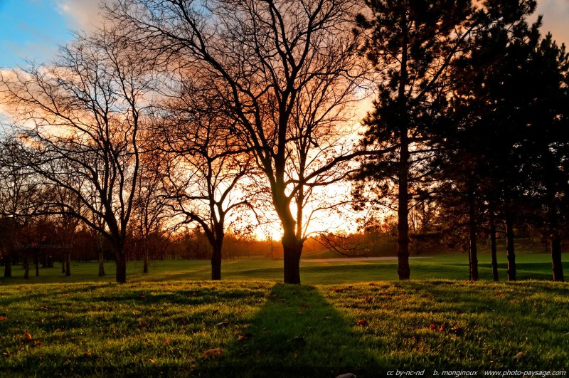 Un coucher de soleil dans un parc
Mots-clés: automne coucher_de_soleil pelouse herbe