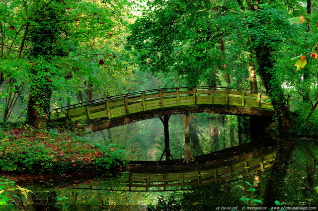 Un petit pont se reflète dans l'eau - 