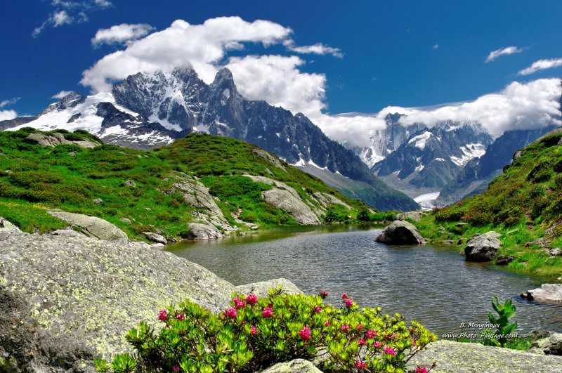 Un joli petit lac de montagne - le lac de la Flégère
Massif du Mont-Blanc, Haute-Savoie (France)
Mots-clés: les_plus_belles_images_de_nature montagne alpes nature haute_savoie chamonix neige la_flegere categorielac fleur-de-montagne categ_ete
