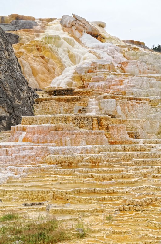 Mammoth hot springs - 2
Parc national de Yellowstone, Wyoming, USA
Mots-clés: yellowstone wyoming usa source_thermale cadrage_vertical