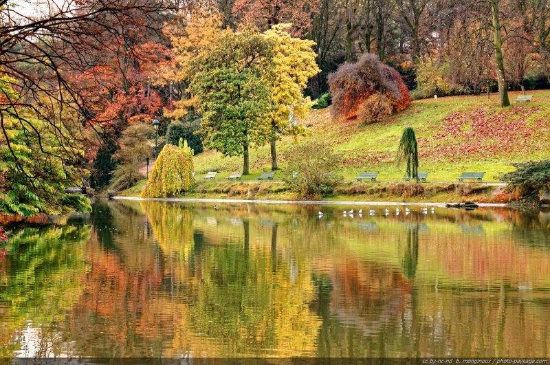 Reflets d'automne au parc Montsouris
Paris, France
Mots-clés: paris jardin montsouris reflets categorielac automne belles-photos-automne