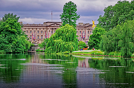 Buckingham_Palace_vu_depuis_St_James_park_lake.jpg