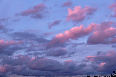 Des-nuages-teintes-de-rose-avant-le-lever-du-soleil---3.jpg