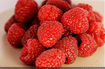 Nom du fichier=Framboises.jpg
Taille du fichier=1230Ko
Dimensions du wallpaper / de la photo HD : 2409x1600
Image ajoutée le : 05 Septembre 2012 Framboises.jpg