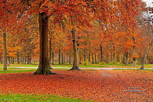 Jour d'automne sous la pluie -02 Jour d'automne sous la pluie -02