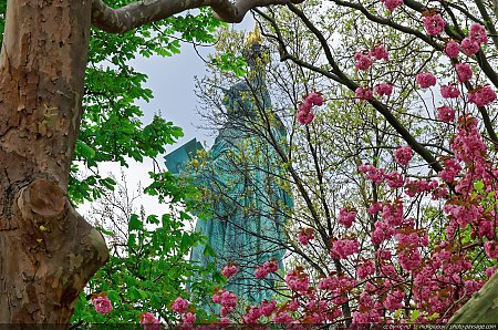Les-couleurs-du-printemps-sur-Liberty-Island.jpg