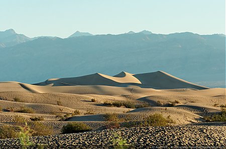 Les-dunes-de-sable-Mesquite-Sand-Dunes.jpg